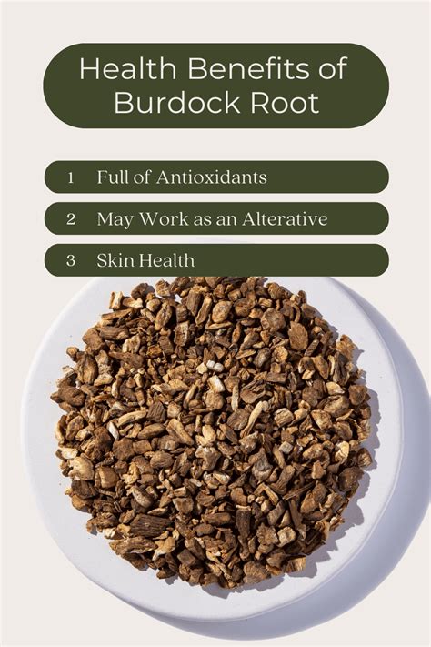 burdock root hindi|burdock benefits in hindi.